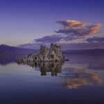 ���� ���� ������ ������ ��������