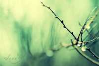 ����� ������� �����