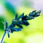 что съесть чтобы похудеть