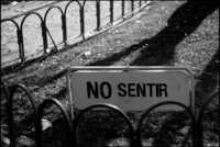 ����� 20 ����