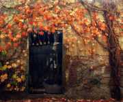 ����� 30 ��