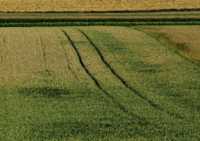 ����� ���