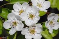 ����� ������� ������