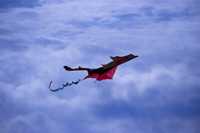 ����� ������� ���