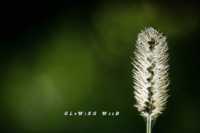 ����� ��� ���� ������������������