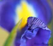 ����� ��� ��������� �������� ������������