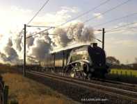 ����� ��� �������� ���������