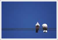 ����� ��������� ��������