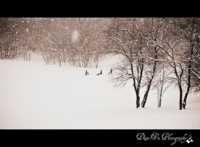 ������� ����� 1