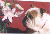 ��������� �����