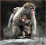 ��� �������� �� 10 ���������