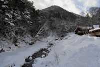 ��� �������� �� 15��