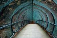 как эфективно похудеть