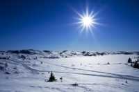 какбыстро похудеть