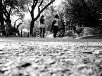 ���������� �����