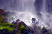 ������ �������� ��������