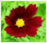 �������� �������� �������� ������� ���������