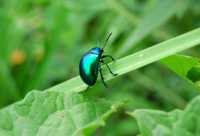 меню чтобы похудеть