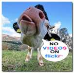 ����� 60 ���������� ����������