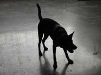 ������� ������� �����