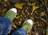 �������� �����