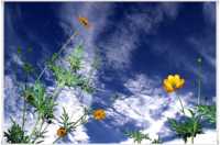 ������������� �����