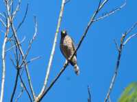 �������� 25 ���� ���������