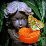 �������� ������