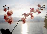 �������� �� ����