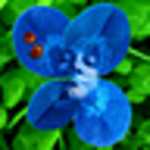 �������� �� ������� ������