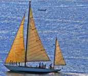 �������� ����� 35