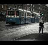 �������� ��������������