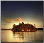 похудеть с помощью хрена