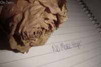 �������� �������