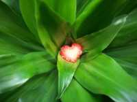 �������� ������ �����