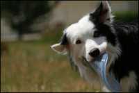 ���������������� ��������� �����