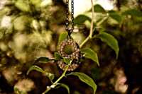 ������� ���� ���������