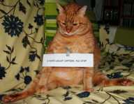 ������� ��������� ��� ��������