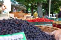 �������� ��������� ��������