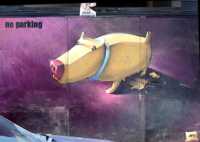 ������� ���� ����� ����� ��������