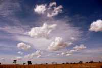 �������� ��� ������ ����� ��������