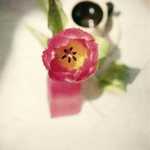 тест как похудеть онлайн