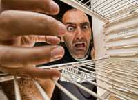 ������ ������� ������ 2009